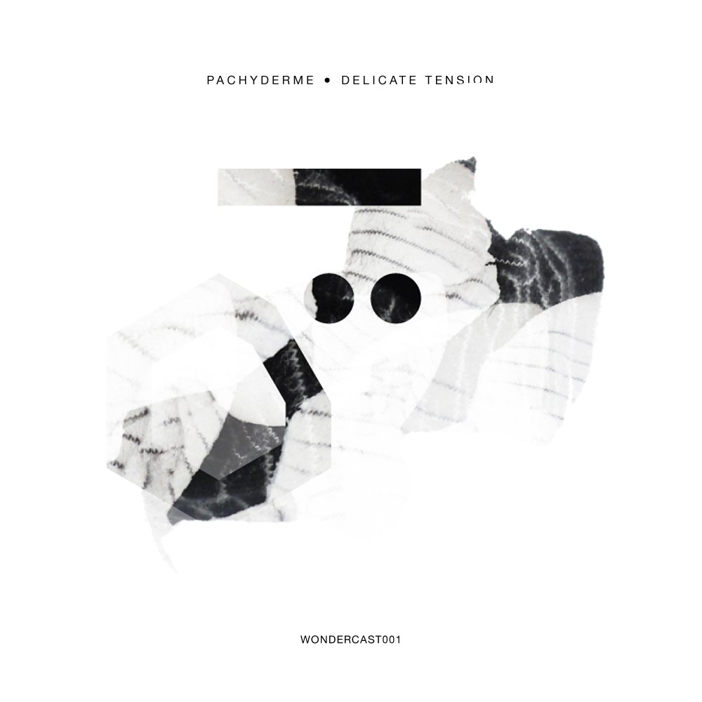 pachiderme - delicate tension - wondercast001 - wondermachine music